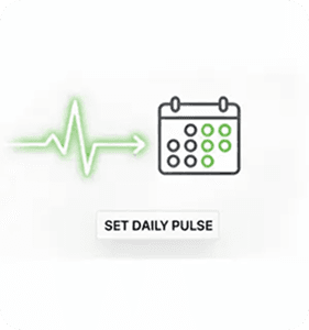 Automated Daily Posts